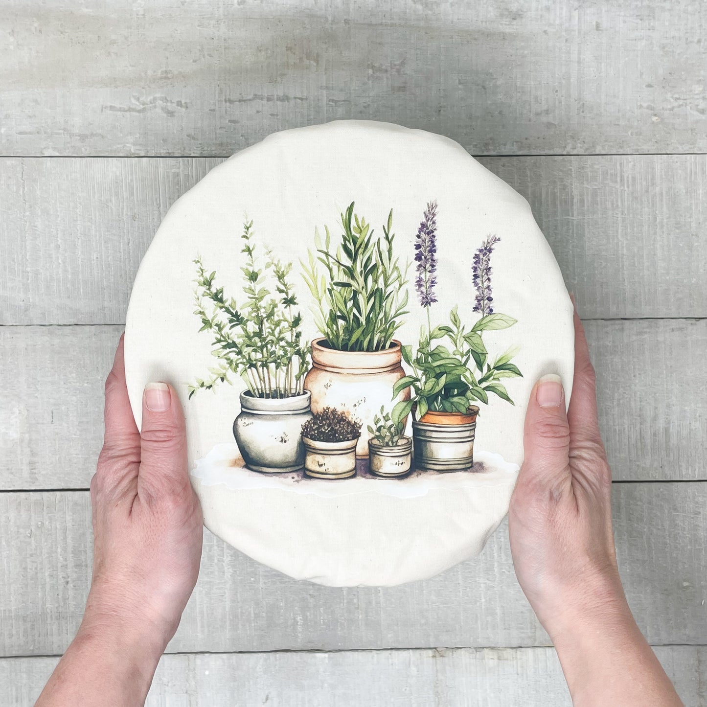 Bowl Cover - Cacti