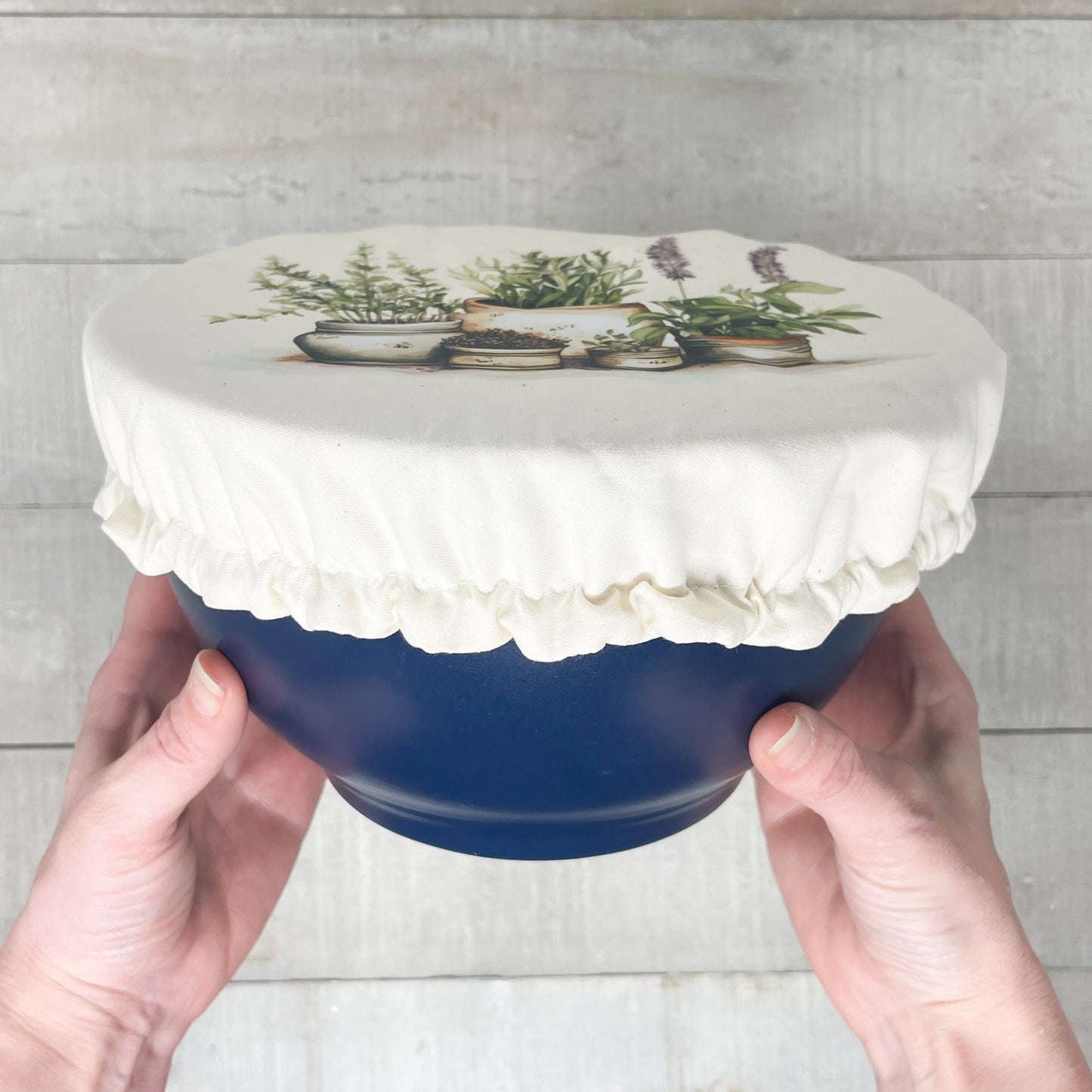 Bowl Cover - Cacti